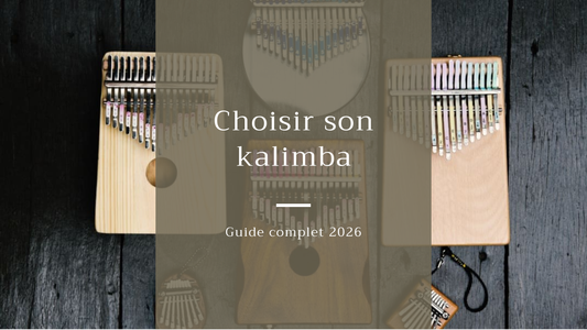 Guide complet : Comment choisir son kalimba en 2026